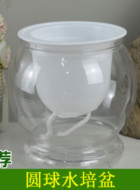 圆球形透明盆配白色定植篮吸水棉绳塑料水培观音竹虎皮兰绿植花卉