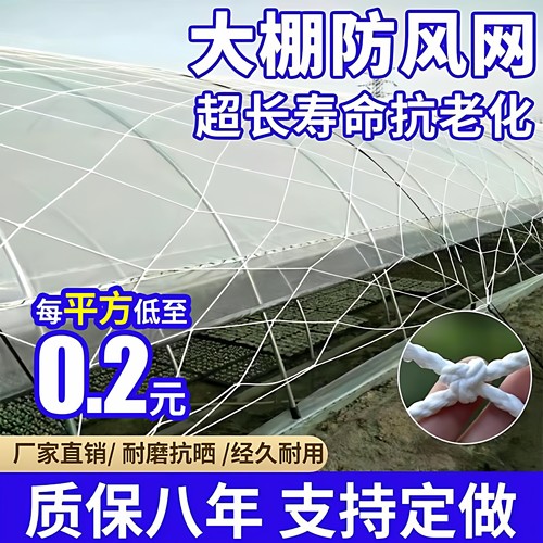 大棚防风网户外大孔压膜绳网