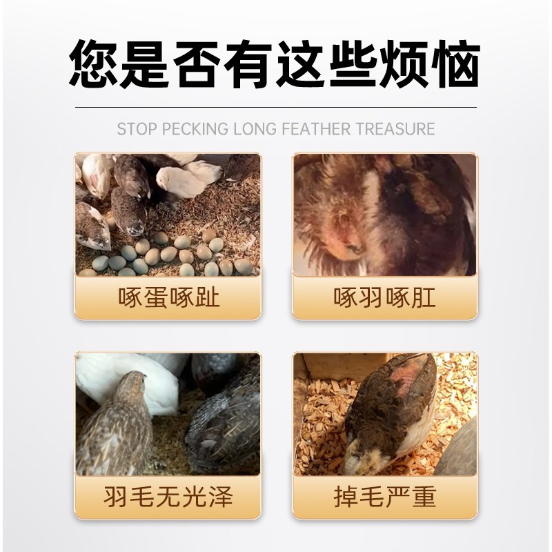 止啄生羽宝芦丁鸡生羽素鹌鹑蛋鸡鸭鹅鸟类啄肛秃背粉兽用止咬防啄