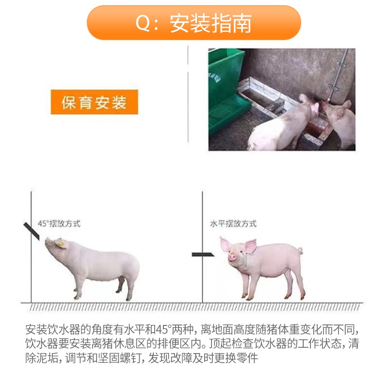 猪用饮水器不锈钢猪饮水嘴猪水嘴猪自动饮水器养殖用设备猪喝水嘴