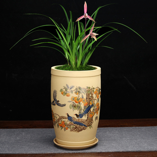 贴花紫砂兰花盆透气发财树专用蕙兰绿萝桌面花卉绿植精品花器 包邮