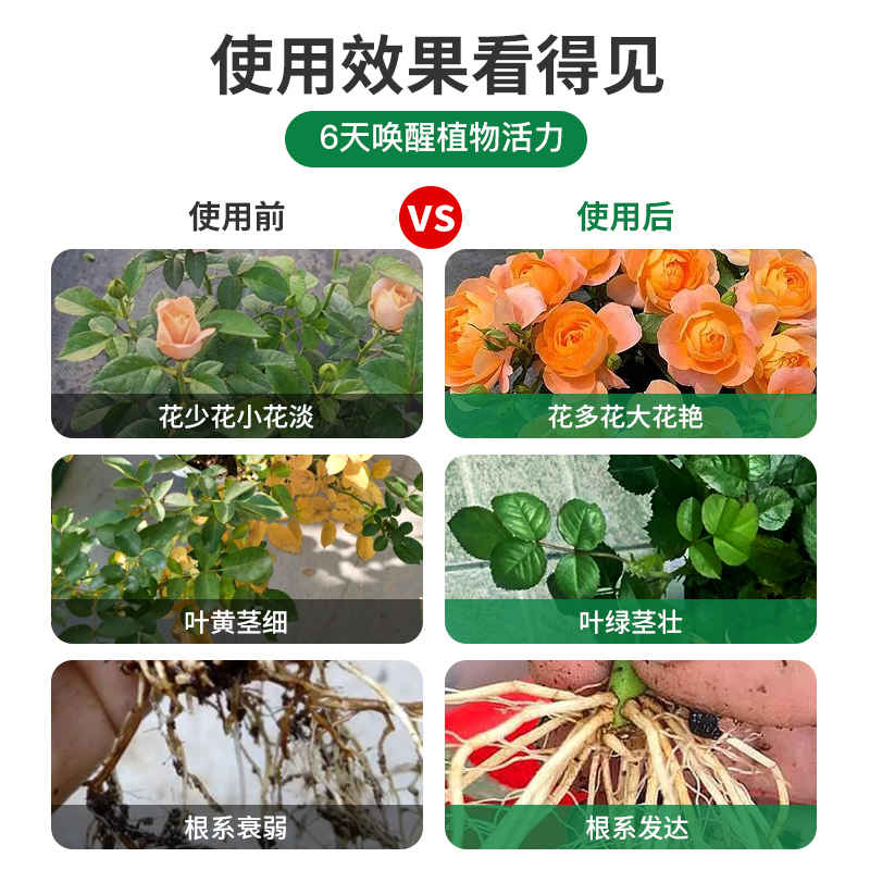 月季营养液月季花专用肥养花花肥料家用盆栽蔷薇花卉通用型水溶肥