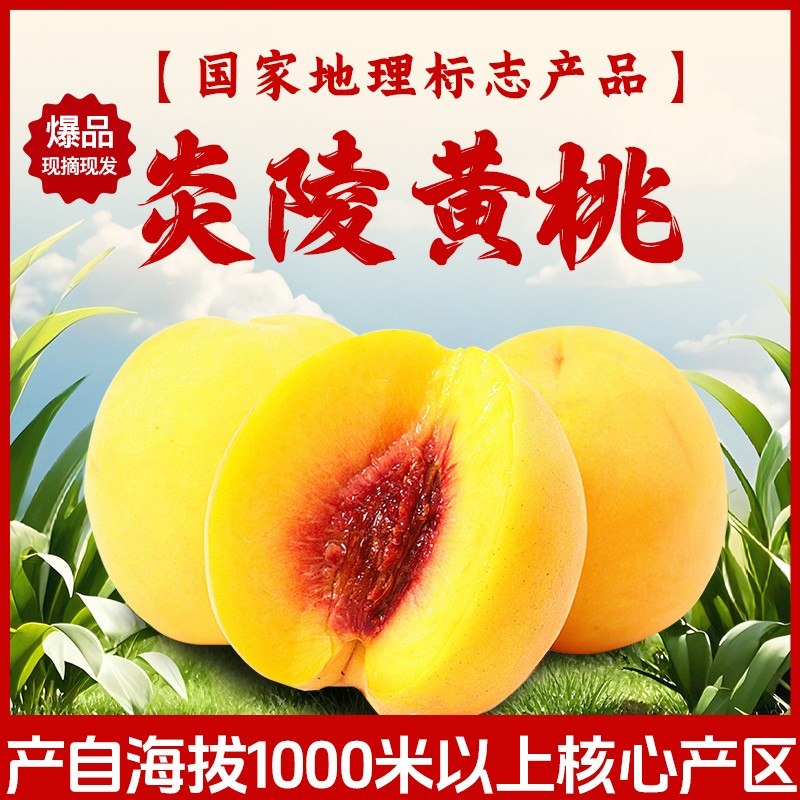 【炎陵黄桃】邮政农品现摘现发香甜脆大果5斤礼盒 正宗炎陵锦绣黄