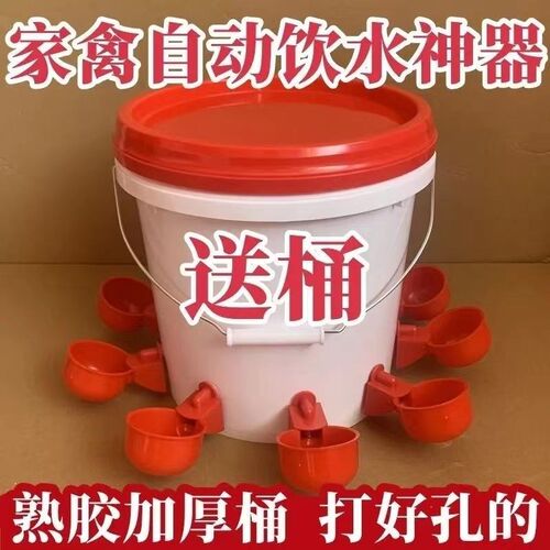 鸡鸭鹅家禽d自动喂水器养殖专用水桶鸭鹅喂鸡自动饮水器鸽子饮水