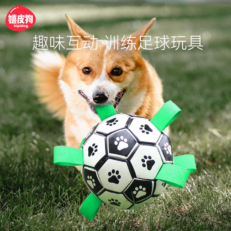 狗狗训练互动足球玩具边牧柯基橡胶球类磨牙耐咬小大型犬逗狗神器图片