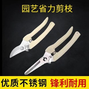 修枝剪果树修枝剪刀园艺剪刀修剪花卉剪刀修花剪刀家用剪枝工具