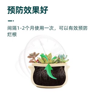 千百季小黑60克家庭园艺盆栽花卉Z通用防烂根