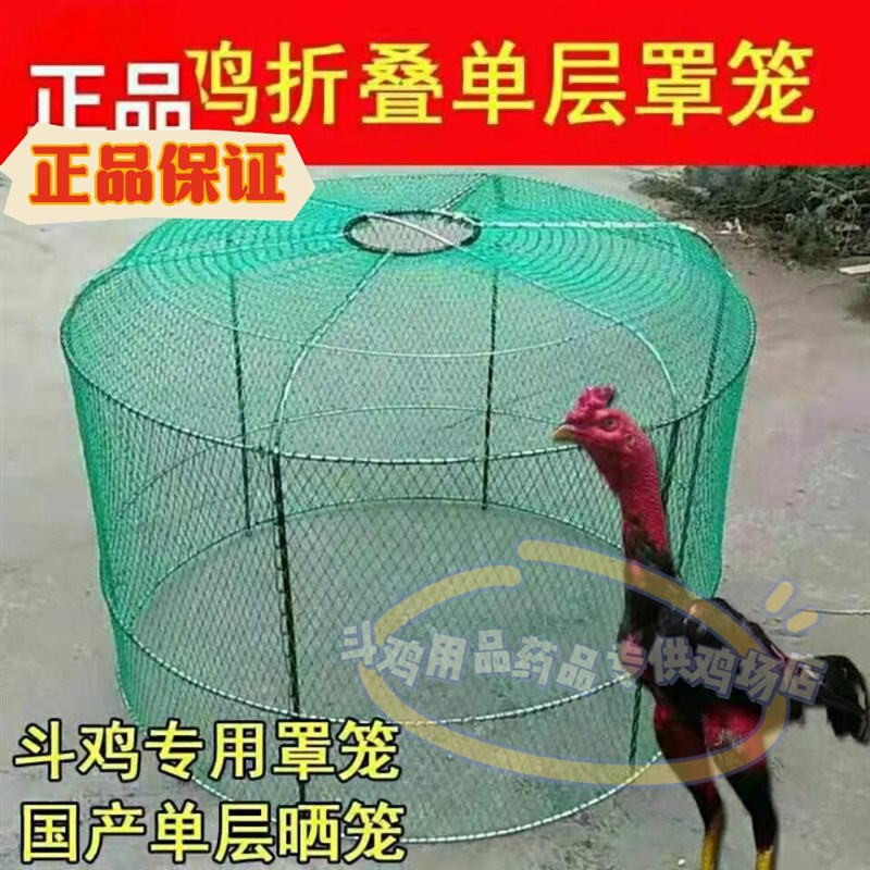 斗鸡跑笼斗鸡单罩笼斗鸡折叠跑笼斗鸡笼折叠跑笼训练笼图片