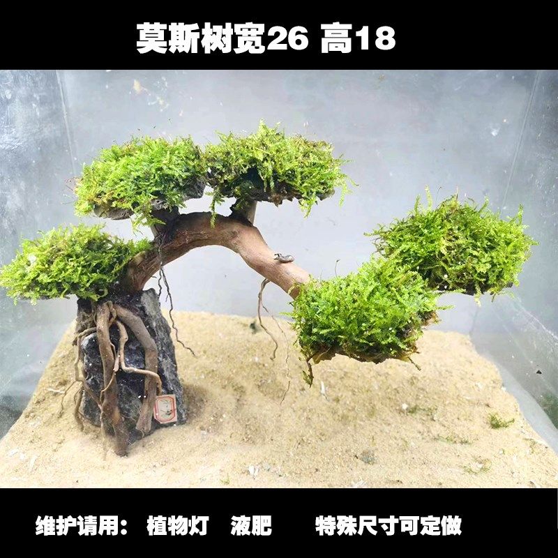 精品水草莫斯水榕沉木树草缸鱼缸雨林缸造景装饰淡水新手懒人水草