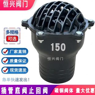 花篮头莲蓬头底阀 插管底阀止回阀单向阀碳钢水泵抽水吸水阀升降式