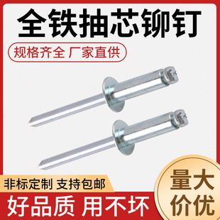 全铁抽芯铆钉拉穿抽芯卯钉r圆头铁抽芯钢铆钉钣金拉铆钉m3.2拉钉m