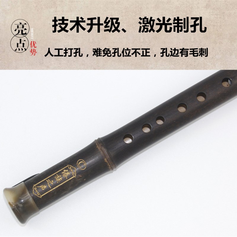 紫竹巴乌 横吹 初学练习 儿童学生教学 g f c 降b 调