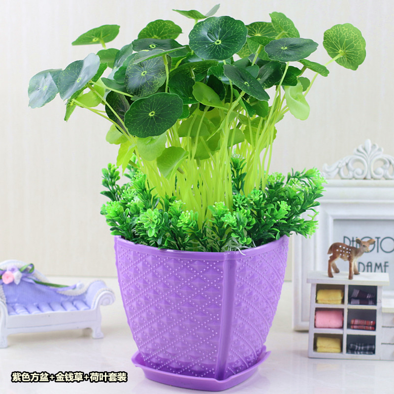 仿真塑料假绿植铜钱叶金钱草 客厅电视柜玄关装饰盆景