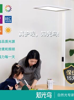 知光鸟落地护眼台灯学习专用儿童作业学生书桌台灯阅读灯钢琴灯
