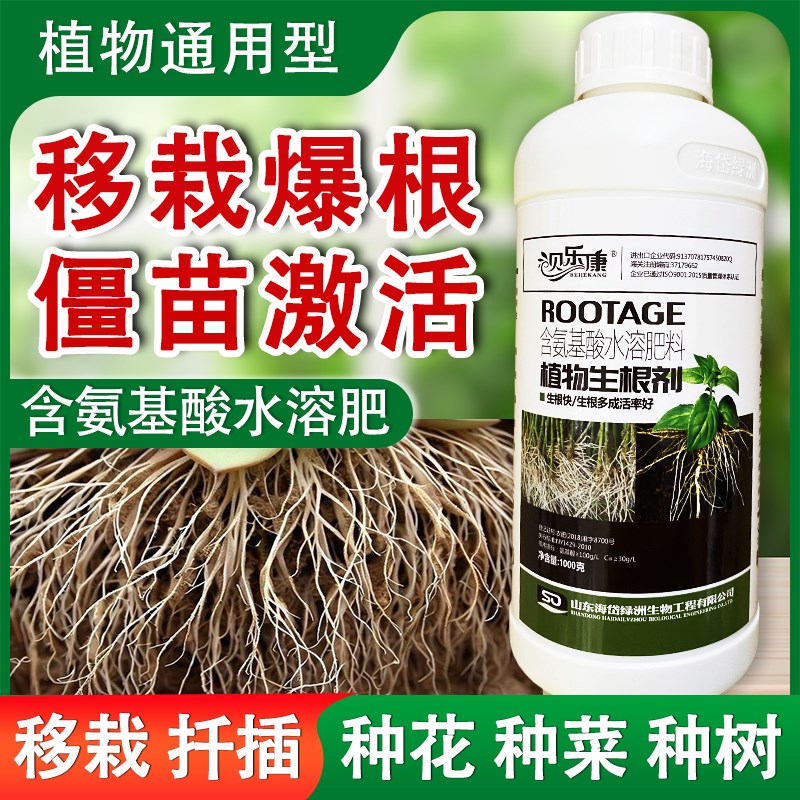 生根壮苗剂卉多肉快速生根水苗木扦插移栽生根液