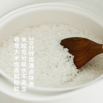 ol立时畅销日韩电饭煲家用升低糖小型电饭锅到到人