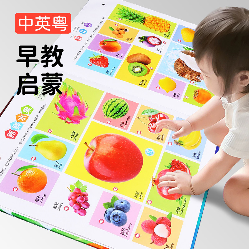 早教点读发声书宝宝认知卡片儿童启蒙识颜色物动物拼音挂图
