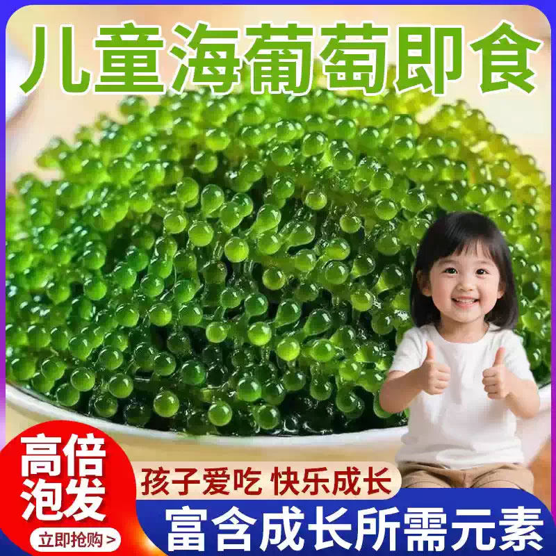 正宗儿童海葡萄即食凉拌菜健康零食鱼子酱水葡萄干货爆珠海带海藻