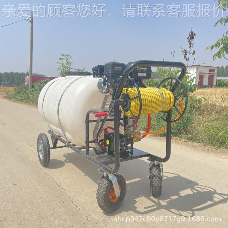 00581L双缠管汽油打药机园消林物业轻便打药车养殖5毒喷园雾器果
