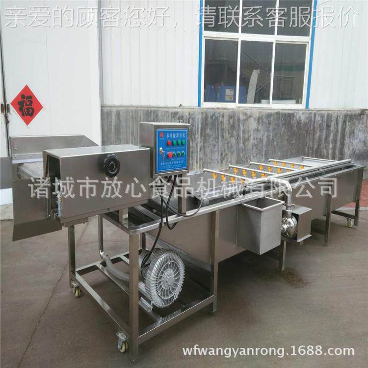 气泡清洗机 XSV新鲜果蔬清机 苹清果洗子清洗机桃 小油菜油麦菜洗
