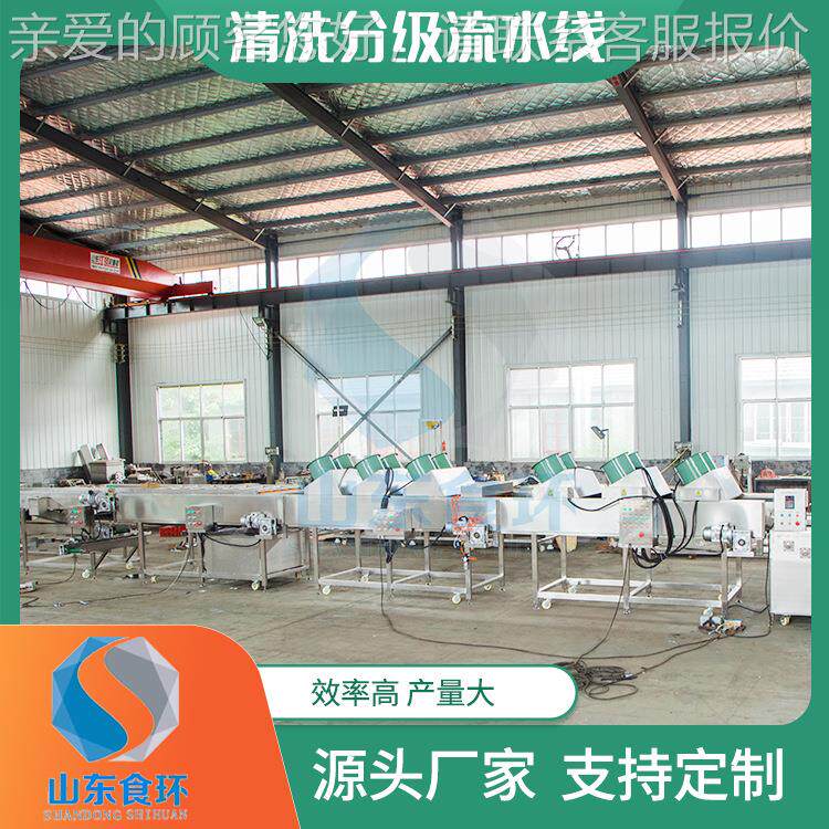 砂糖橘分级机李子清洗分水级流线 百香果杨EJS梅分机级分选 尺寸