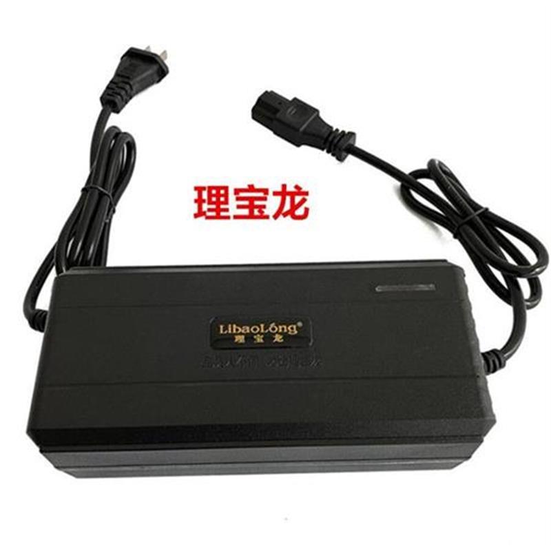 理宝龙牌自动断电智能电动车电瓶充电器48V12AH60V20AH72新国标