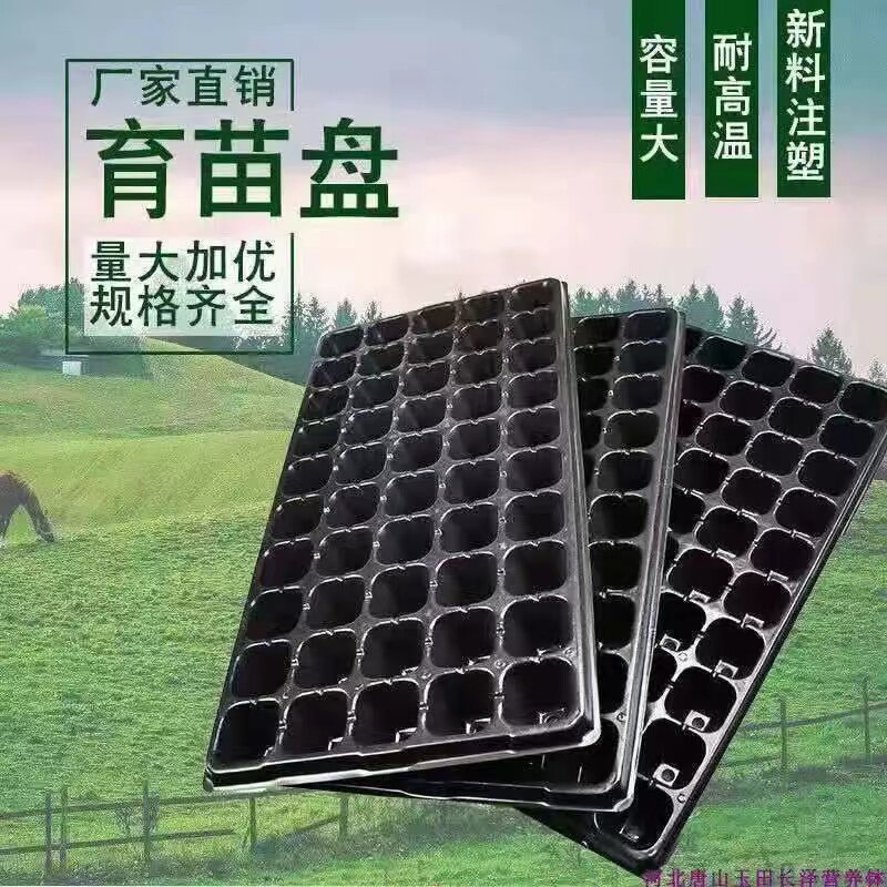 加厚育苗穴盘多肉扦插培育 PET材质可加深型育苗盘