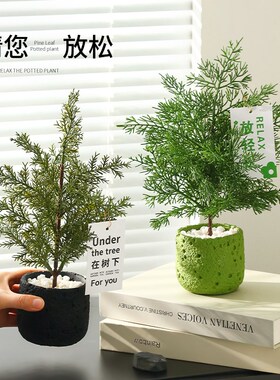 仿真绿植柏树松树家居桌面假盆景商场店铺场景装饰品