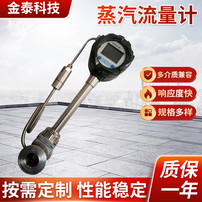 厂家批发数显蒸汽流量计高温适用气体管道式传感器数字式智能