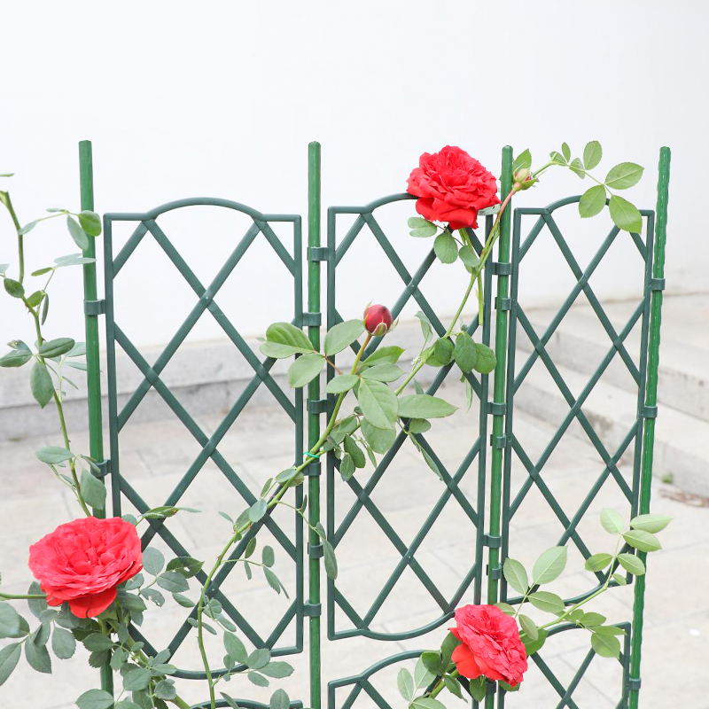 花架爬藤架支架隔断花架子撑花月季爬藤架花支撑架铁线莲爬藤架