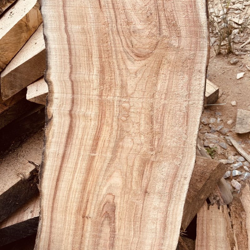 定制 整木原木香樟木木板 樟木原木木块 原生态茶台木板 定制木料