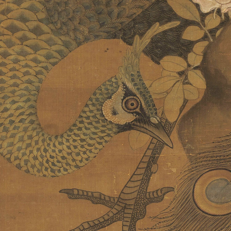 崔白枇杷孔雀图传统花鸟画临摹绢布画稿 中式装饰画艺术微喷画心图片