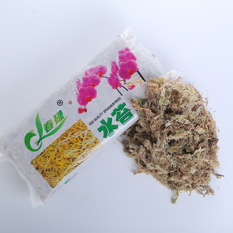 水陆缸雨林缸造景短绒苔藓干水苔鱼缸造景装饰真植物生态造景绿植