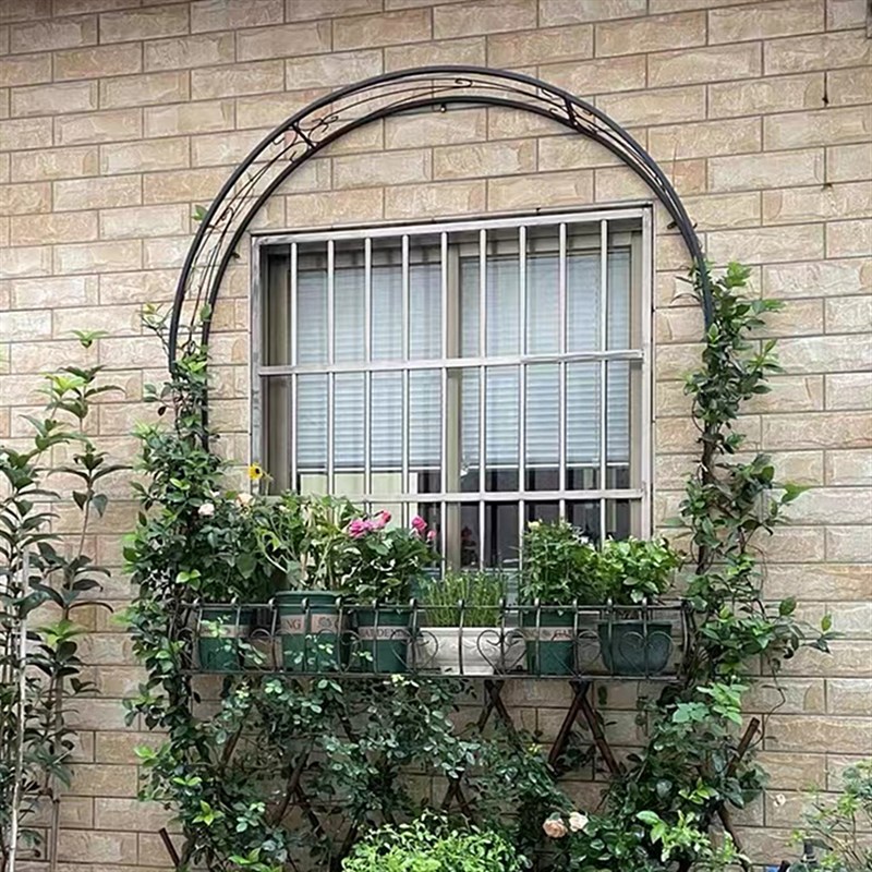 蓝雪花铁线莲月季窗户半拱形拱门花架爬藤架攀爬植物支架铁艺户外