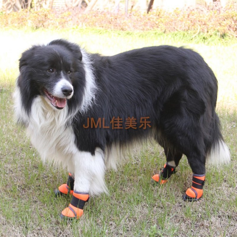 法斗狗狗鞋子春秋大型犬小型犬中型犬泰迪比熊金毛可卡萨摩大狗鞋