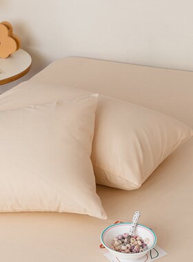 小号枕套30x50纯棉40x60儿童35x55一只装枕头套一对小尺寸迷你42