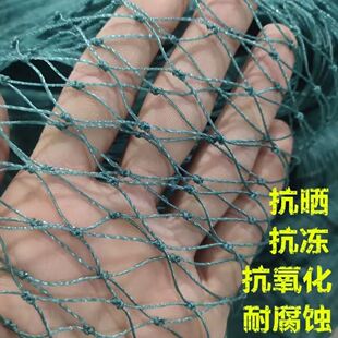 尼龙养殖养鸡网山鸡网围栏网护栏网拦鸡网菜园网防护网家禽塑料网