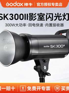 Godox 神牛SK300 W II摄影闪光灯300W人像静物证件照影棚室内补光