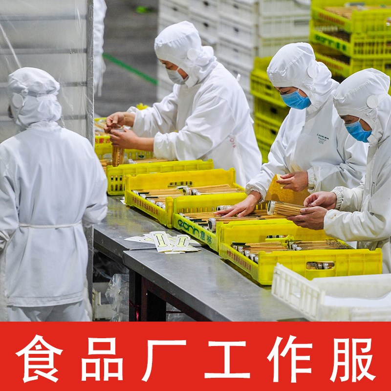 食品厂工作服套装男女通用中央厨房车间加工工服透气防掉发防护服