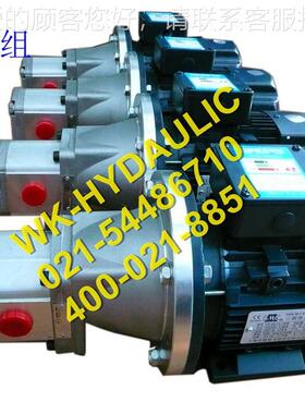 厂家直销KHy-draulic 高压WKP1WB0-M系列电机齿轮泵组,DAN 270bar