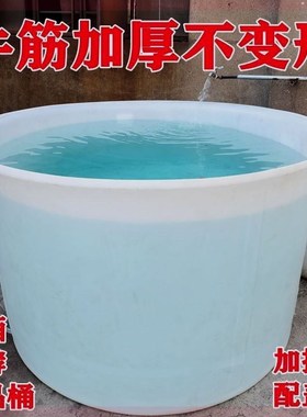白色牛筋桶加厚发酵酿酒腌菜桶胶桶熟料无毒桶塑料水圆桶食品桶
