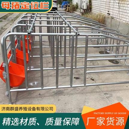 母猪定位栏限位栏猪圈栏位养猪用复合漏粪板母猪产床保育半限位栏
