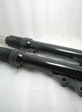 鬼火100 RSZ100 福喜100巧格 前减震前叉 避震器 助力车踏板车