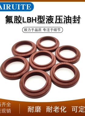 氟胶LBH40/45/48/50/53/55*48/53/56/58/61/63*6.5   液压防尘圈