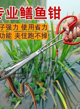 夹黄鳝的夹子防滑神器鳝鱼螃蟹黄鳝夹子捉控不锈钢黄鳝夹加长钳子