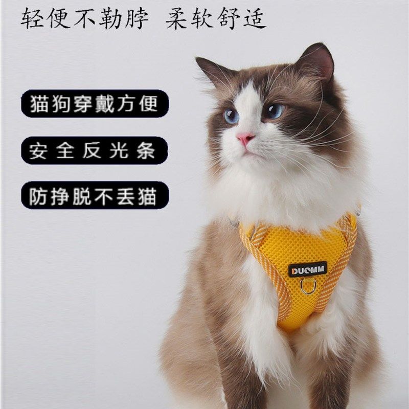 猫咪牵引绳防脱外出背心式宠物胸背带狗狗牵引绳反光胸背带溜猫绳,宠物/宠物食品及用品,猫牵引绳,淘宝优惠券,粉丝福利购,淘宝优惠卷