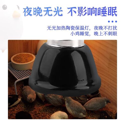 芦丁鸡加热灯饲养箱陶瓷爬宠保暖灯育雏保温乌龟灯晒背灯无光发热