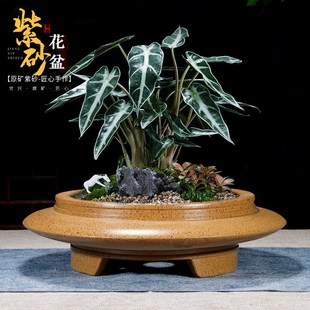 紫砂花盆三足飞碟盆景盆多肉金弹子盆栽盆菖蒲云竹盆四方盆景盆栽