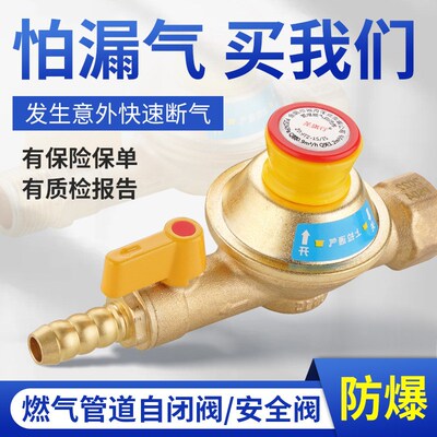 管道燃气天然气自闭阀纯铜家用漏气E保护器安全防爆煤气罐自闭阀