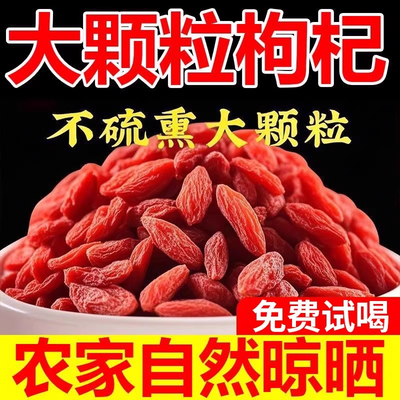 红枸杞子宁夏正宗特级中药材